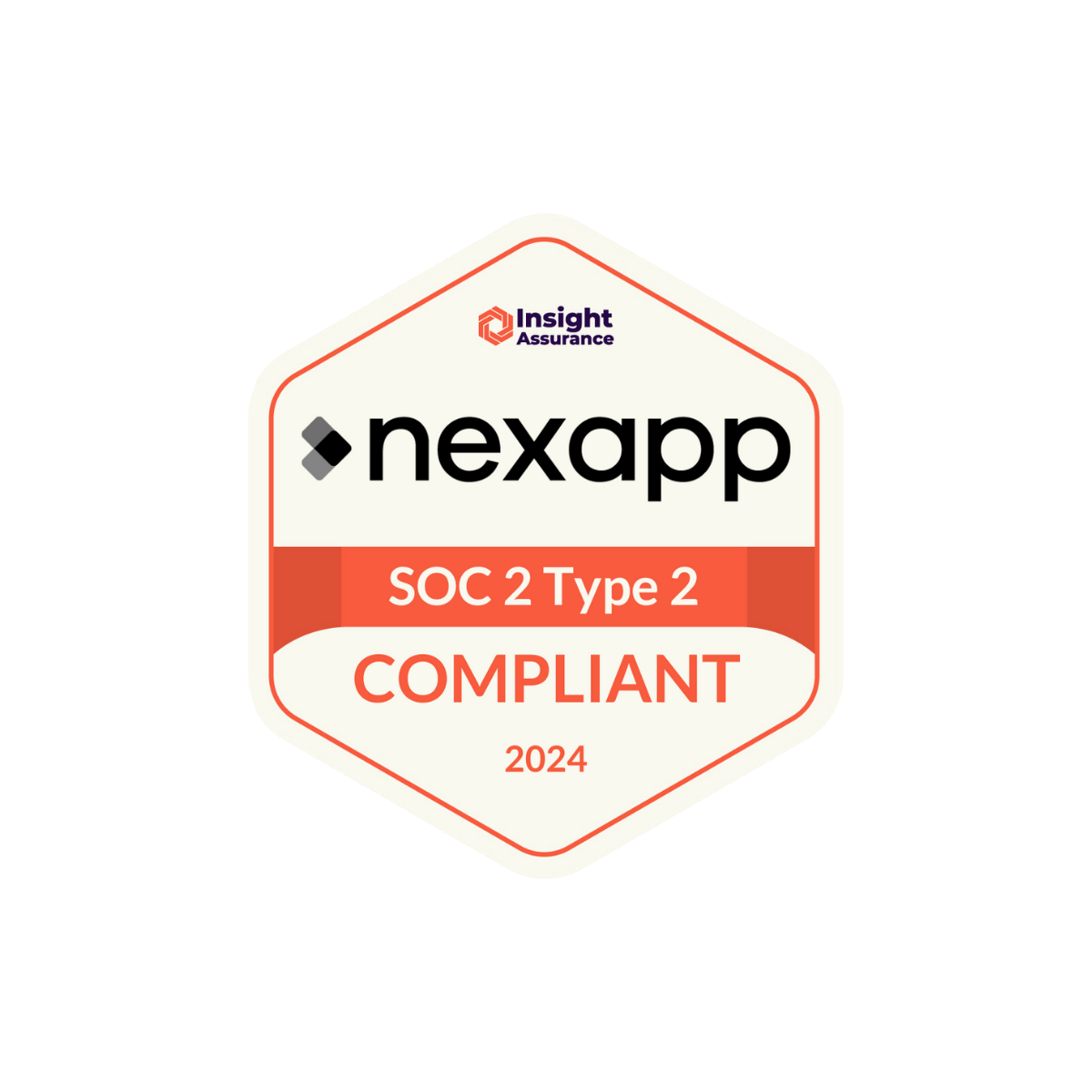 TEMPLATE médias sociaux Nexapp-3